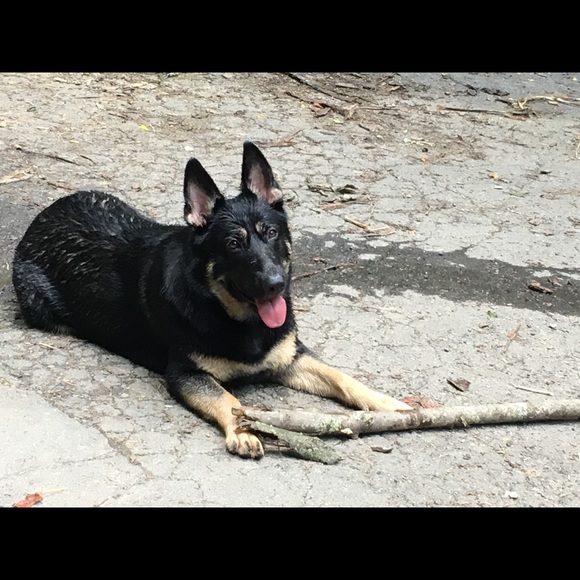 Meet your Posher, Rachell - Picture 4 of 8